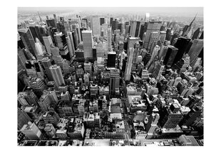 Fototapeet - USA, New York: black and white hind ja info | Fototapeedid | kaup24.ee