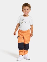 Детские штаны софтшелл Didriksons весна-осень LÖVET, цвет оранжевый цена и информация | Штаны для мальчика Nini | kaup24.ee