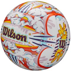 волейбол - уилсон цена и информация | Волейбольные мячи | kaup24.ee
