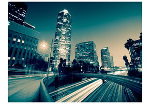 Fototapeet - The streets of Los Angeles hind ja info | Fototapeedid | kaup24.ee