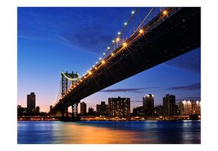 Fototapeet - Manhattan Bridge illuminated at night hind ja info | Fototapeedid | kaup24.ee