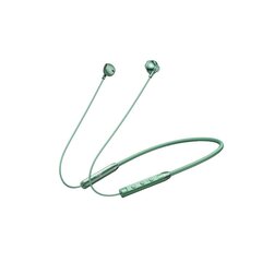Juhtmevabad kõrvaklapid W01 14.2MM 16h USB Bluetooth5.2 цена и информация | Наушники | kaup24.ee