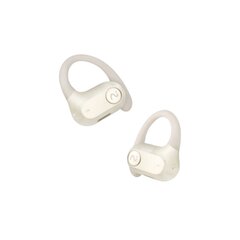 Беспроводные наушники Iflytek iFLYBUDS Nano+ 16.2MM type-c 40h AI  Bluetooth5.3 цена и информация | Наушники | kaup24.ee