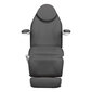 Elektriline kosmeetikatool Sillon Basic 3 strong swivel, hall hind ja info | Ilusalongi mööbel | kaup24.ee