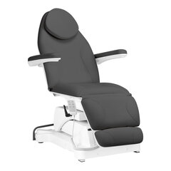 электрическое косметическое кресло sillon basic 3 strong swivel, серый цена и информация | Мебель для салонов красоты | kaup24.ee