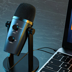 USB микрофон Witgoer MKF7 Bluetooth цена и информация | Микрофоны | kaup24.ee