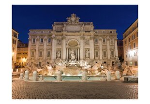 Fototapeet - Trevi Fountain - Rome цена и информация | Фотообои | kaup24.ee
