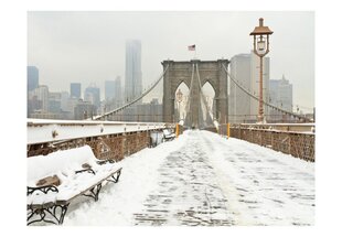 Fototapeet - Snow-covered bridge in New York hind ja info | Fototapeedid | kaup24.ee