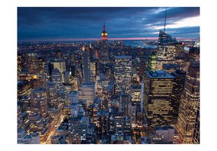 Fototapeet - New York - night hind ja info | Fototapeedid | kaup24.ee