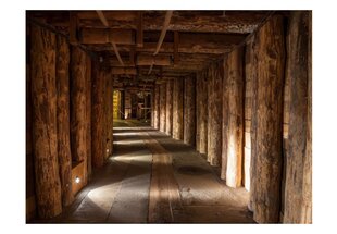 Fototapeet - Wooden passage цена и информация | Фотообои | kaup24.ee