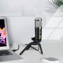 USB микрофон Depusheng A9 HIFI 192khz/24bit цена и информация | Микрофоны | kaup24.ee