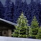 Kuusepuu tuled, 480 led hind ja info | Jõulutuled | kaup24.ee