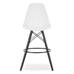 комплект из 2 стульев Leobert Lamal, белый/черный цена и информация | Стулья для кухни и столовой | kaup24.ee