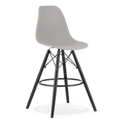 4 tooli Leobert Lamal, hall/must komplekt hind ja info | Söögilaua toolid, köögitoolid | kaup24.ee