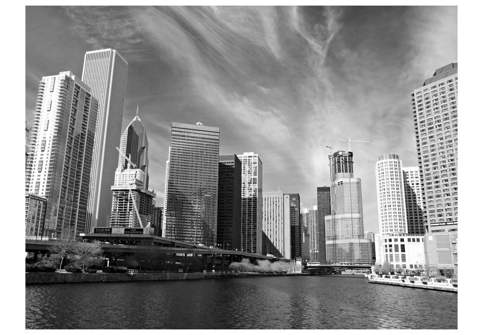 Fototapeet - Chicago skyline (black and white) hind ja info | Fototapeedid | kaup24.ee