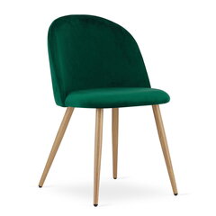 Komplektis 3 tooli Leobert Bello, roheline/pruun hind ja info | Söögilaua toolid, köögitoolid | kaup24.ee