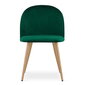 Komplektis 3 tooli Leobert Bello, roheline/pruun hind ja info | Söögitoolid, baaritoolid | kaup24.ee