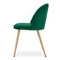 Komplektis 3 tooli Leobert Bello, roheline/pruun hind ja info | Söögitoolid, baaritoolid | kaup24.ee