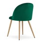 2 tooli Leobert Bello, roheline/pruun komplekt hind ja info | Söögitoolid, baaritoolid | kaup24.ee