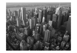 Fototapeet - New York: skyscrapers (bird's eye view) цена и информация | Фотообои | kaup24.ee