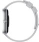 Xiaomi Redmi Watch 4 Silver Gray цена и информация | Nutikellad (smartwatch) | kaup24.ee