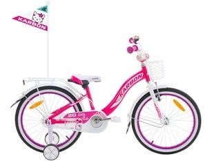 Laste jalgratas Kitty Karbon 20" 9053, valge/roosa цена и информация | Велосипеды | kaup24.ee