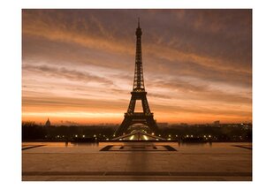 Fototapeet - Eiffel tower at dawn hind ja info | Fototapeedid | kaup24.ee