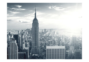 Fototapeet - Amazing view to New York Manhattan at sunrise цена и информация | Фотообои | kaup24.ee