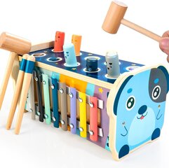 Muusikaline mänguasi ksülofon Kidwill цена и информация | Развивающие игрушки | kaup24.ee