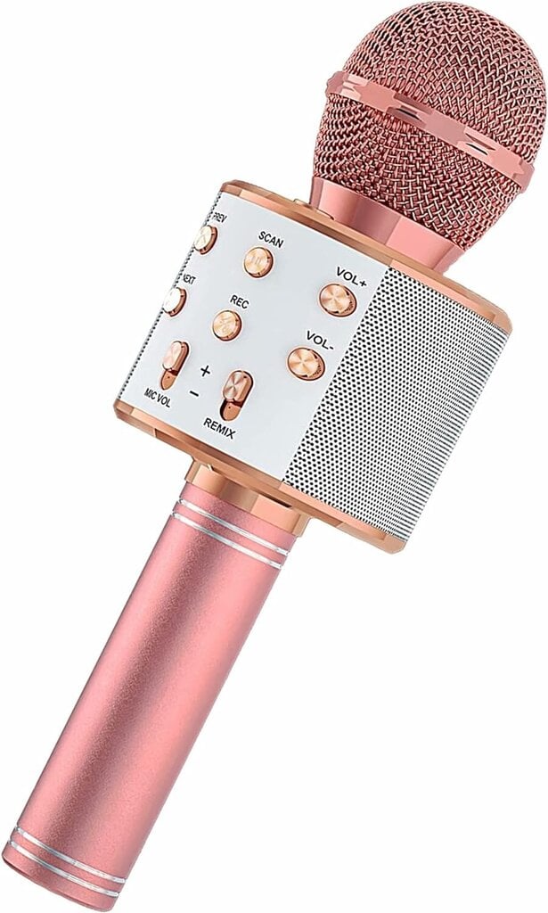 Bluetooth Karaoke mikrofon lastele ja täiskasvanutele FDY hind ja info | Mikrofonid | kaup24.ee