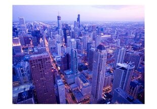 Fototapeet - Timid lights at dusk in Chicago цена и информация | Фотообои | kaup24.ee