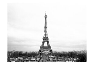 Fototapeet - Paris: black and white photography hind ja info | Fototapeedid | kaup24.ee