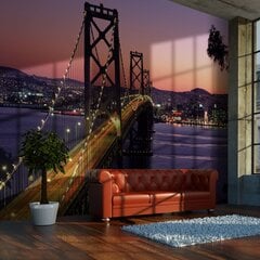 Fototapeet - Charming evening in San Francisco цена и информация | Фотообои | kaup24.ee