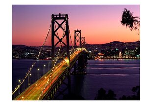 Fototapeet - Charming evening in San Francisco цена и информация | Фотообои | kaup24.ee