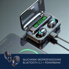 Беспроводные наушники - вкладыши BLUETOOTH 5.1 С POWERBANK цена и информация | Наушники | kaup24.ee