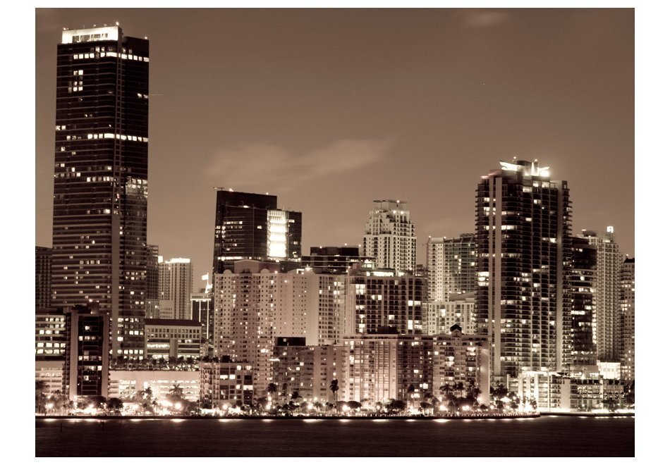 Fototapeet - Night life in Miami цена и информация | Fototapeedid | kaup24.ee