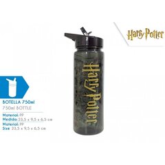 Harry Potter Joogipudelid