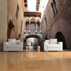 Fototapeet - Barcelona Palau generalitat in gothic Barrio цена и информация | Фотообои | kaup24.ee