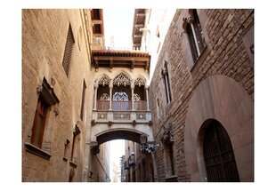 Fototapeet - Barcelona Palau generalitat in gothic Barrio цена и информация | Фотообои | kaup24.ee