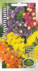Linaria Cordoba цена и информация | Семена цветов | kaup24.ee