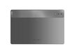 Lenovo Tab Extreme TB570FU ZACF0024SE Grey цена и информация | Tahvelarvutid | kaup24.ee