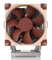 Noctua NH-U9 DX-4677 цена и информация | Кулеры для процессоров | kaup24.ee