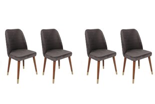 Комплект из 4 стульев Asir, серый/коричневый/золотой цена и информация | Стулья для кухни и столовой | kaup24.ee