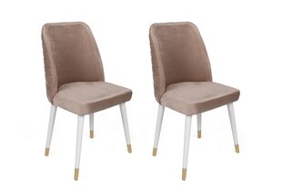Комплект из 4 стульев Asir, бежевый/белый/золотой цена и информация | Стулья для кухни и столовой | kaup24.ee