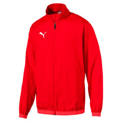 Толстовка для мужчин PUMA AMPLIFIED Hoodie TR цена и информация | Мужские толстовки | kaup24.ee