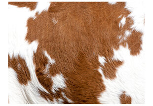 Fototapeet - Cowhide hind ja info | Fototapeedid | kaup24.ee