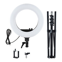 Rõngakujuline LED 55W lamp koos alusega AF-9126 цена и информация | Осветительное оборудование для фотосъемок | kaup24.ee