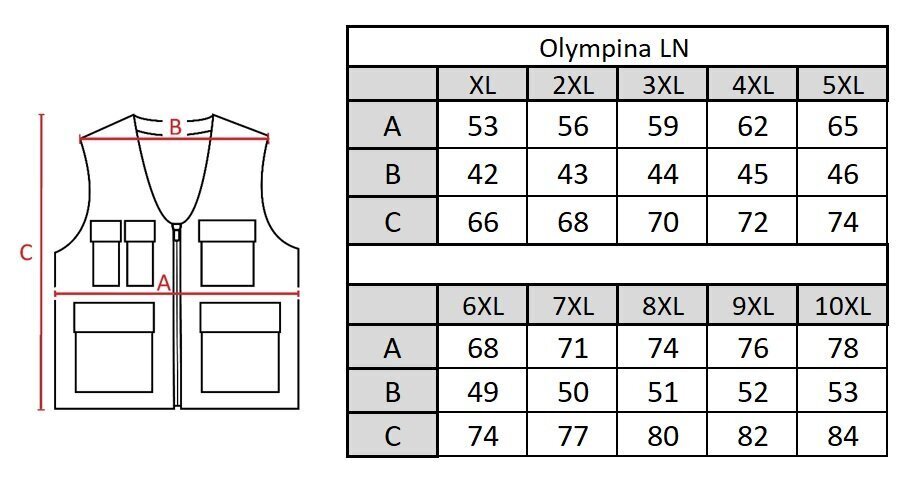 Vest meestele Olympina LN202 hind ja info | Meeste vestid | kaup24.ee