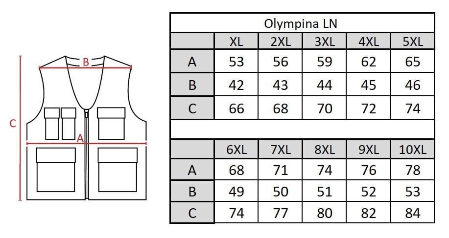 Vest meestele Olympina LN203 hind ja info | Meeste vestid | kaup24.ee