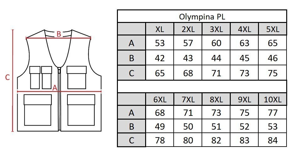 Vest meestele Olympina PL1 hind ja info | Meeste vestid | kaup24.ee